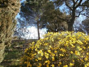 Maisons d'hotes La Maison des Oliviers : photos des chambres