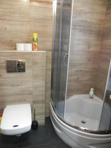 The Heart of Lviv Apartments - Lviv