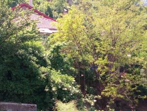 Guest House Waterfall Parnassos Greece