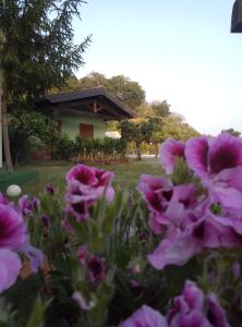 agriturismo valle alcantara