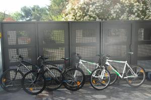 Pure relax by the forest