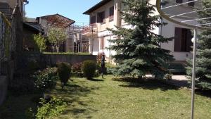 House with Beautiful Garden and Cellar