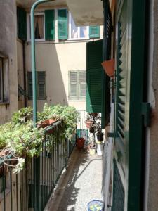 Apartmán Lovely flat "Two steps from the seafront" Rapallo Itálie