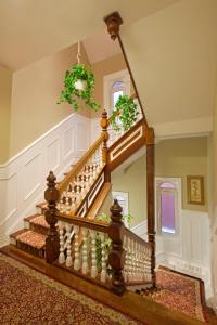 Victorias Mansion Guest House