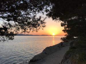 Apartments Villa Clementa