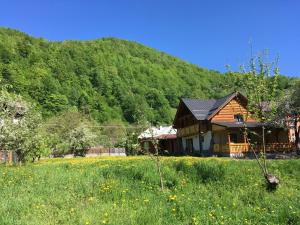 Talu Casa Nova Vişeu de Sus Rumeenia