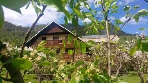 Arh公寓 - 博希尼