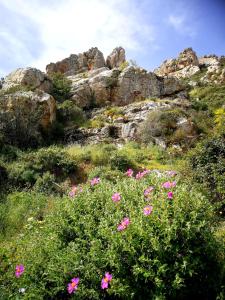 Il giardino all'angolo img22