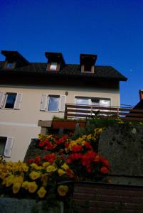 Apartmaji Pri Kokolu