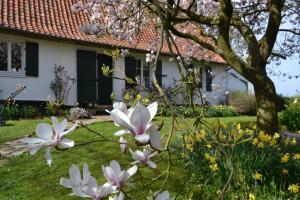 B&B / Chambres d'hotes La Longere d'Ecottes : photos des chambres