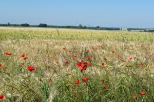 B&B / Chambres d'hotes La Ferme de Gorgeat : photos des chambres