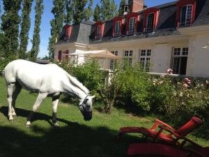 Maisons d'hotes Le domaine de barbizon : photos des chambres