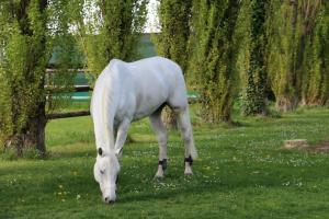 Maisons d'hotes Le domaine de barbizon : photos des chambres