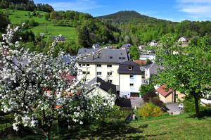 Hotels Hotel aux Bruyeres : photos des chambres