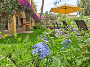 El Encanto Inn & Suites