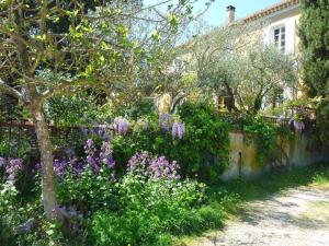 B&B / Chambres d'hotes Le Fer en Ceze : photos des chambres