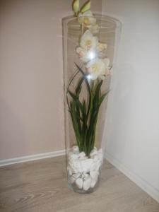 Smeštaj Olivera Niška Banja