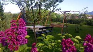 Gacka-Beautiful Place in Nature