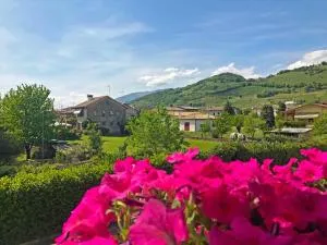 La Casa Di Bea - San Zuanet