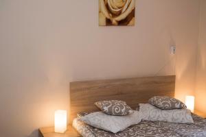 Pensiunea Miorita Arad