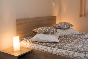 Pensiunea Miorita Arad