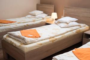 Pensiunea Miorita Arad