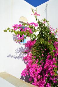 Abrami Traditional Villas & Studios Naxos Greece