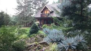 Lesna Polana - Jabłońskie