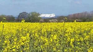 Am Pool und Strand 8 - Harkensee
