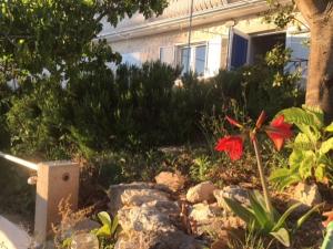 Apartmani Silvano