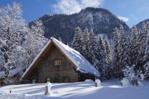 Pensjonat Jagdhaus Klaushofstube Gosau Austria