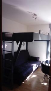 studio des écureuil