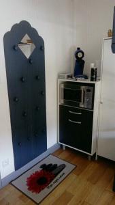 studio des écureuil