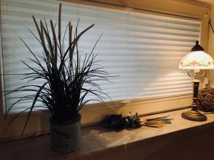 Ferienwohnung Südel