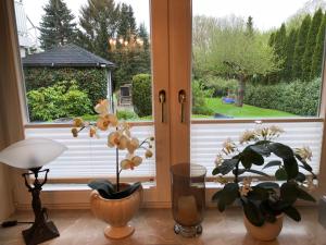 Ferienwohnung Südel