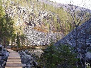 Pyhän Kortepuolukka