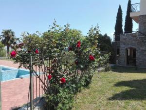 Villa Anna Pieria Greece