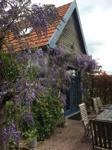 Vakantiewoning De Lotus