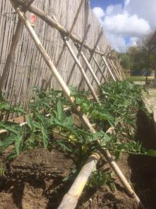 Alojamientos la Huella