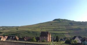 Maisons de vacances Un petit coin d’Alsace : photos des chambres