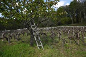 Casa de Labranza Naz