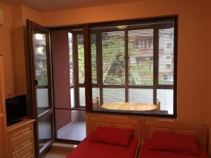 Apartment Martin Beach