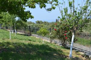 Ionian Sea Base Floor Villa Apartment at Kyllini Ilia Greece