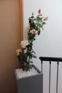 Appartements Etablissements Coulon - Talence (Chemin d'Ars) : photos des chambres