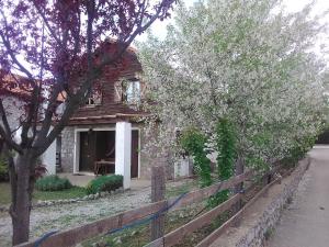 Arachova Houses Parnassos Greece