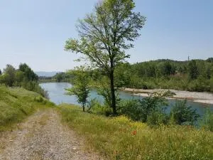 Tra gli olivi - Aquilea