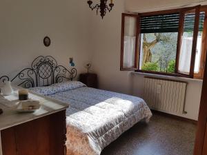 Tra gli olivi