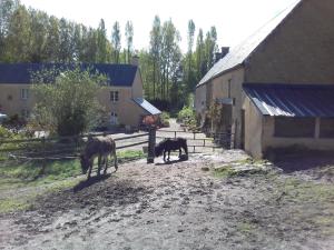 Maisons de vacances Gite du Jardin Des Sources : photos des chambres