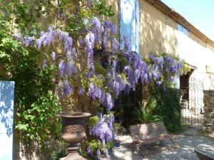 B&B / Chambres d'hotes Mas du Puits d'Amour : photos des chambres