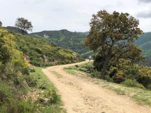 Villas Villa Vallee Heureuse : photos des chambres